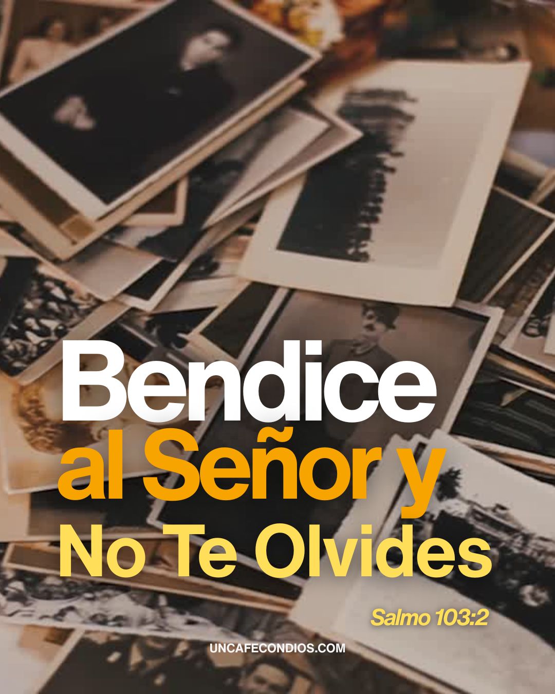 bendice no olvides pic