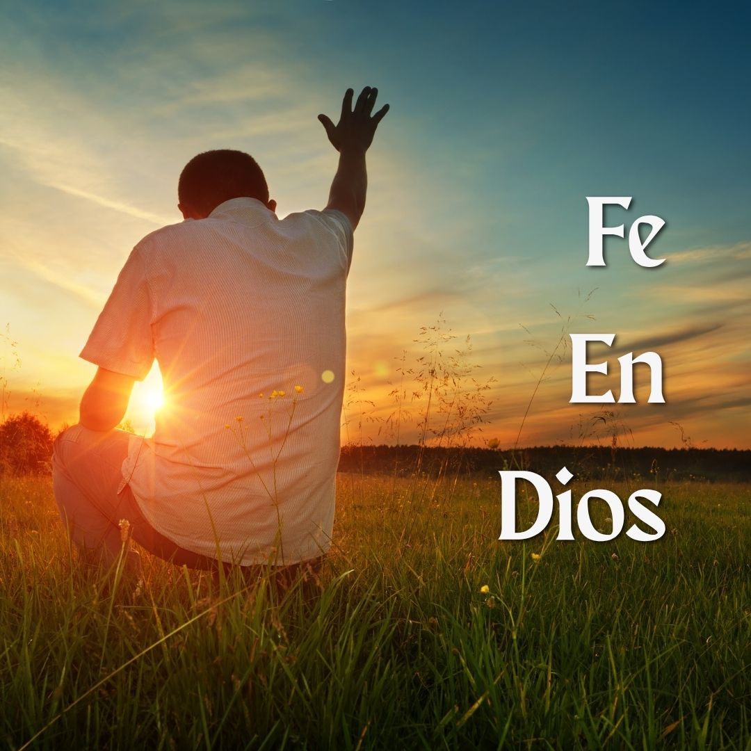 Fe