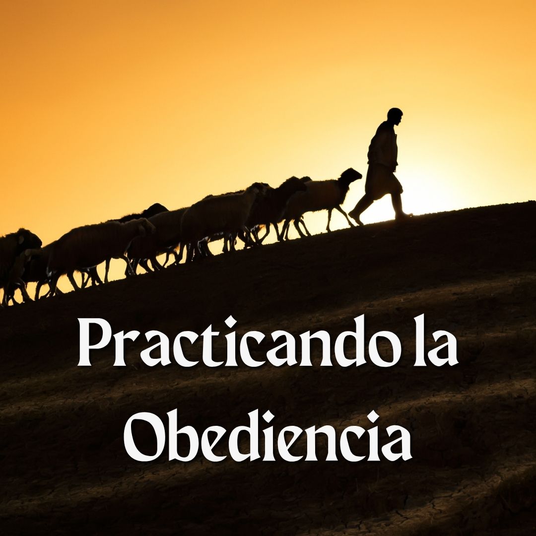 Obediencia